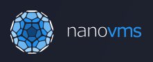 NanoVMs Logo