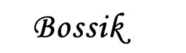 Bossik.com Logo
