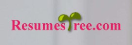 ResumesTree.com Logo