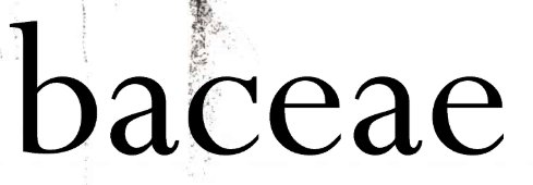 Baceae Logo