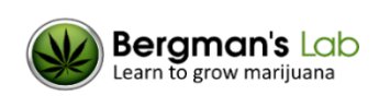 Bergman's Lab Logo