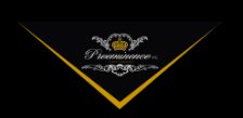 Preeminence INC Logo