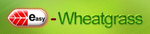 Easy Wheatgrass Logo