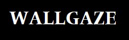 WallGaze Logo