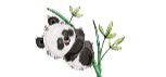 Panda Poles Logo