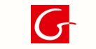 Gvibe Sex Toys Logo