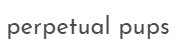 Perpetual Pups Logo