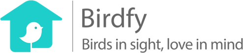 Birdfy Logo