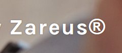 Zareus.com Logo