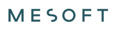 Mesoft Store Logo