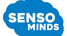 Senso Minds Logo