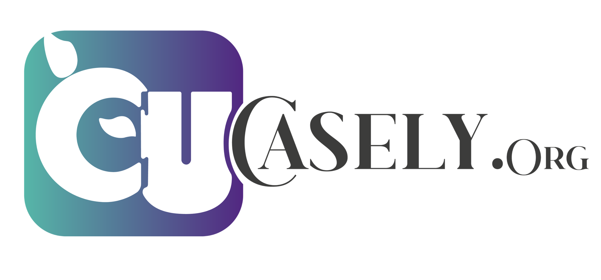 CASELY Logo