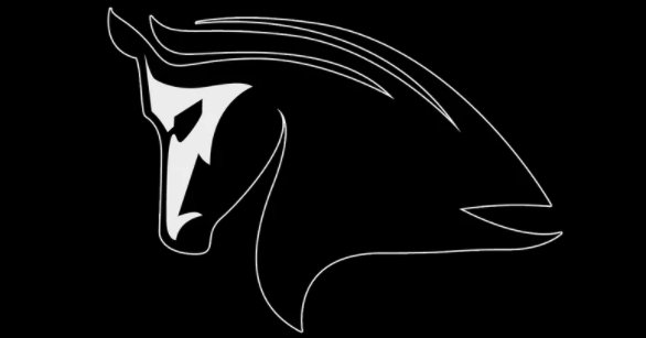 The Stampede Network Logo