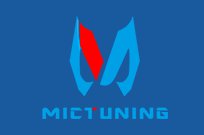 MicTuning LED Light Logo
