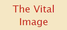 The Vital Image Logo