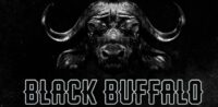 Black Buffalo coupon