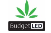 Budget LED coupon