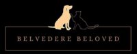 Belvedere Beloved coupon