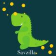 Savzilla Store coupon