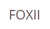 Foxii Lingerie coupon