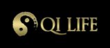 Qi Coil Store coupon