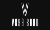 Vega Bond Insulating Spray Foam coupon