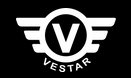 Vestar Mini Electric Skateboard coupon