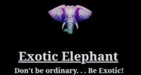 Exotic Elephant CBD coupon