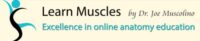 Learn Muscles Joe Muscolino coupon