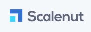 Scalenut SaaS Platform coupon